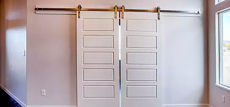 Glass Barn Door with Installation Hardware Kit San Diego